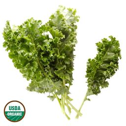 Organic Blue Scotch Kale